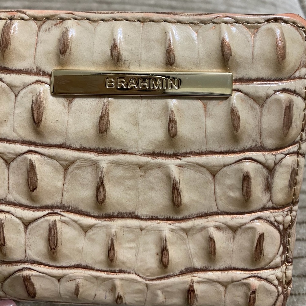 Brahmin wallet (stardust)